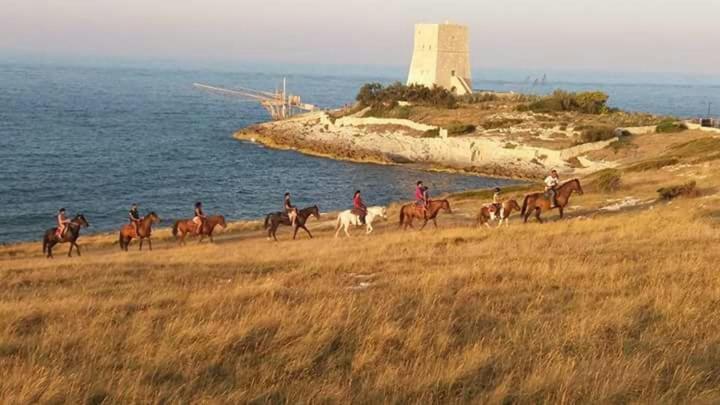 Borgo Degli Ulivi Rooms Vieste Zewnętrze zdjęcie